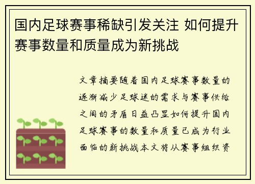 国内足球赛事稀缺引发关注 如何提升赛事数量和质量成为新挑战
