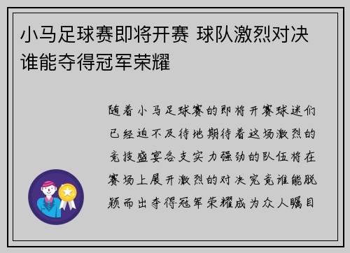 小马足球赛即将开赛 球队激烈对决 谁能夺得冠军荣耀