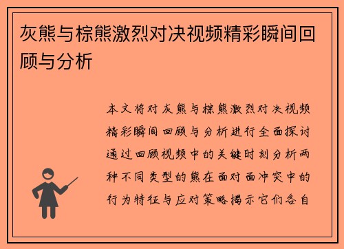 灰熊与棕熊激烈对决视频精彩瞬间回顾与分析