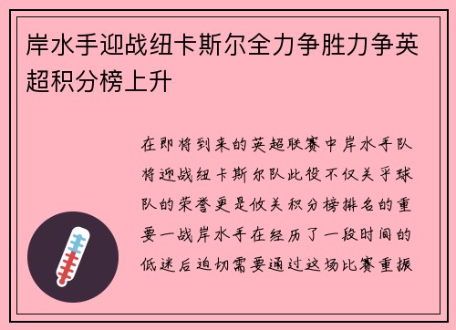 岸水手迎战纽卡斯尔全力争胜力争英超积分榜上升